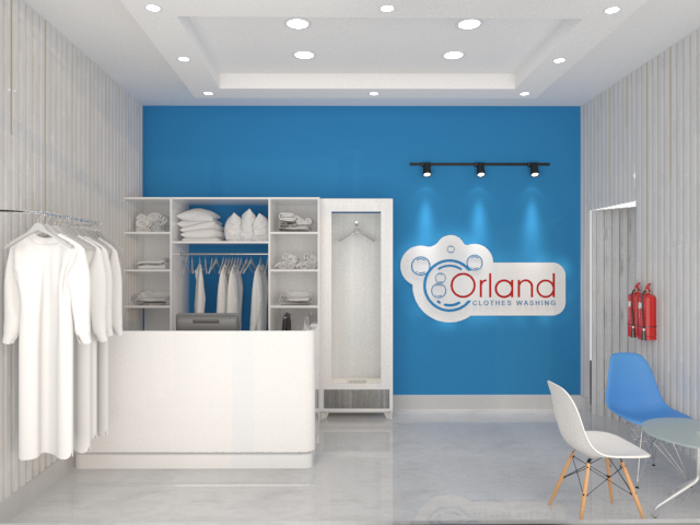 Professional Laundry Service